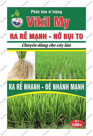 RA RỄ MẠNH - NỞ BỤI TO